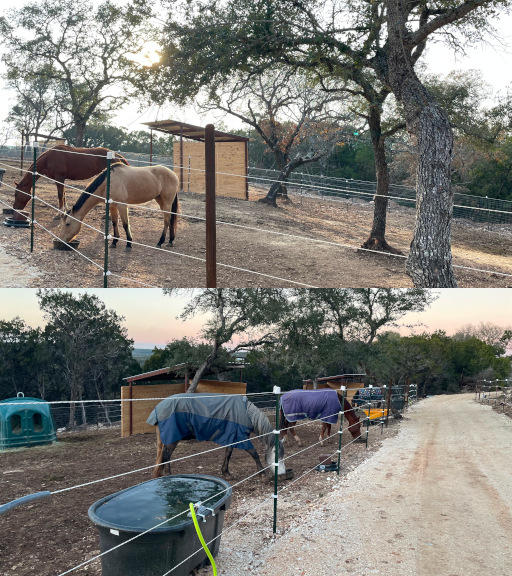 Full Care Horse Boarding